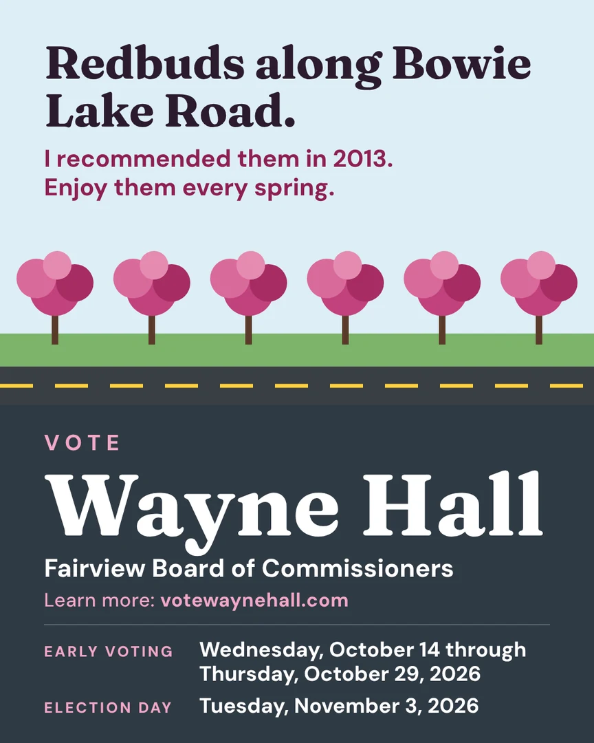 Gráfico de campaña. Árboles redbud (ciclamores) a lo largo de Bowie Lake Road. Los recomendé en 2013. Disfrútelos cada primavera. Vote por Wayne Hall, Junta de Comisionados de Fairview. Más información: votewaynehall.com.